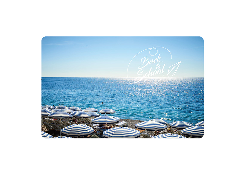 Customized printing school/companies/government id card