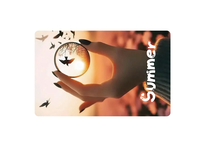 Full color printing pvc frosted transparent clear card