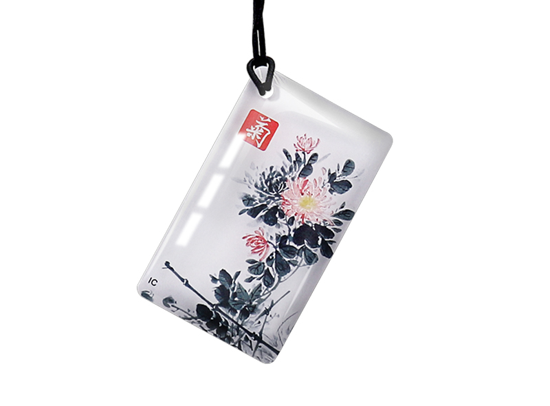  RFID Epoxy KeyFobs Cards